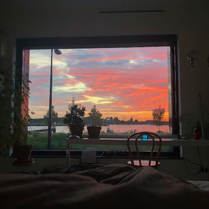 很黄尺度很大的电影免费AV女优在线播放
