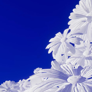 很黄尺度很大的电影免费AV女优在线播放
